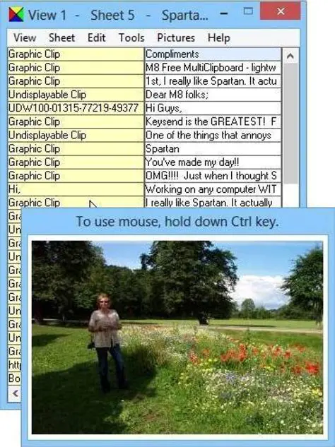 Key Features of Spartan Portable Lite Clipboard Manager