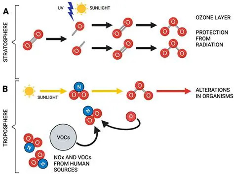 Light sensitivity can be caused by various factors