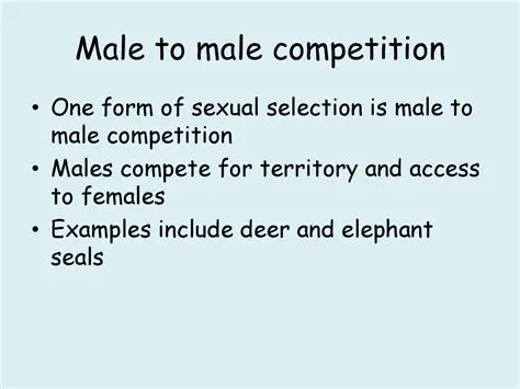 Lower competition between males