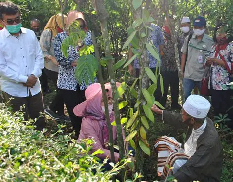Meningkatkan Kuantitas Produksi