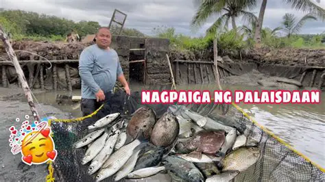 Mga Kahulugan ng Palaisdaan