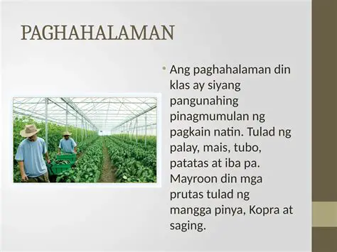 Mga Katangian ng Paghahayupan