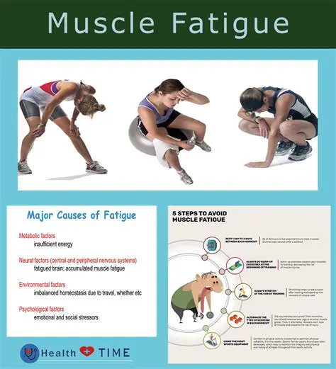 Muscle Fatigue and Recovery Education