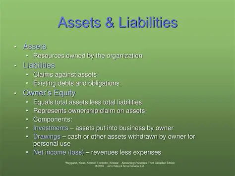 Omitting assets or liabilities