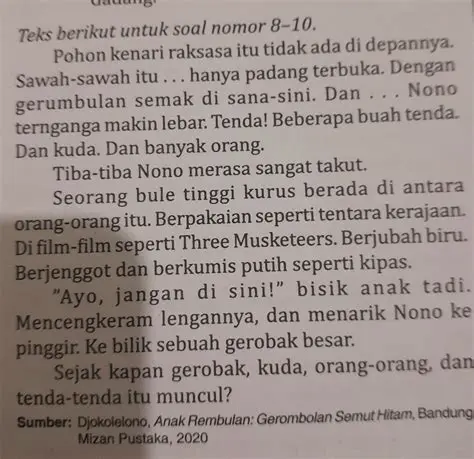 Orang Ketiga Sebagai Pengamat