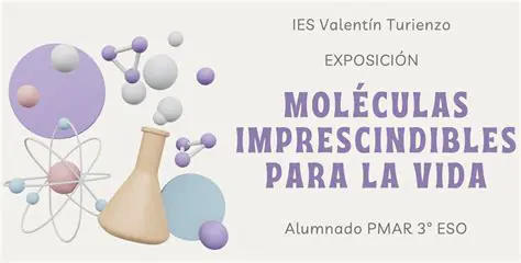 Otros compuestos imprescindibles para la vida