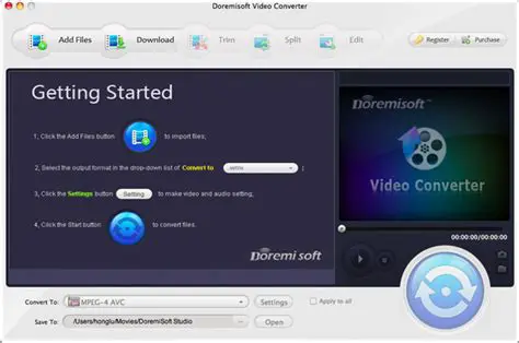 Overview of DoremiSoft AVI to FLV Converter