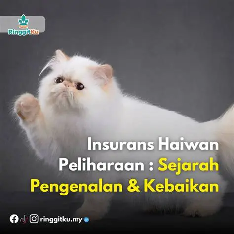 Pengenalan Kelinci sebagai Hewan Peliharaan
