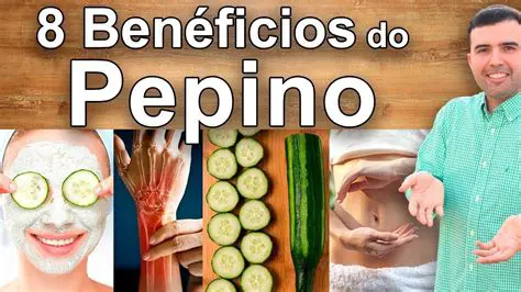 Pepino do Mar: O Tesouro Subaquático e Seus Benefícios Surpreendentes