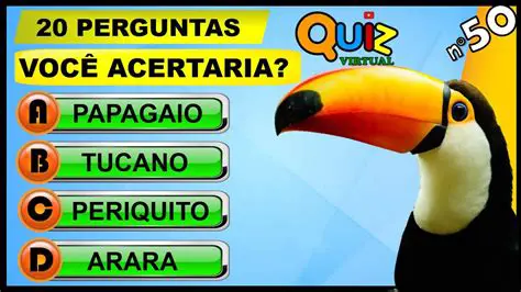 Perguntas e Respostas sobre o IMC