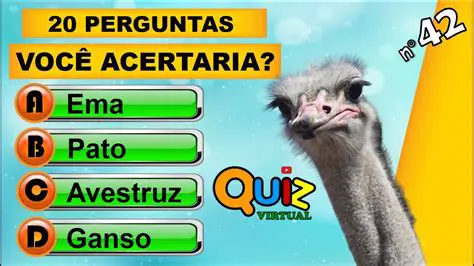 Perguntas e Respostas sobre Taxa de Gotejamento