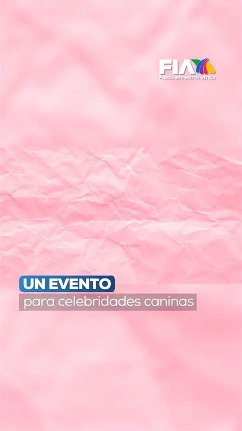 Preguntas y respuestas sobre la fecha en la que va a ir Claudia al cine