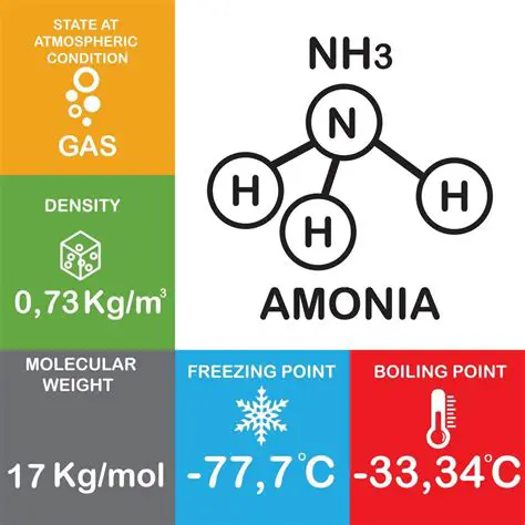 Preguntas y respuestas sobre la masa de NH3