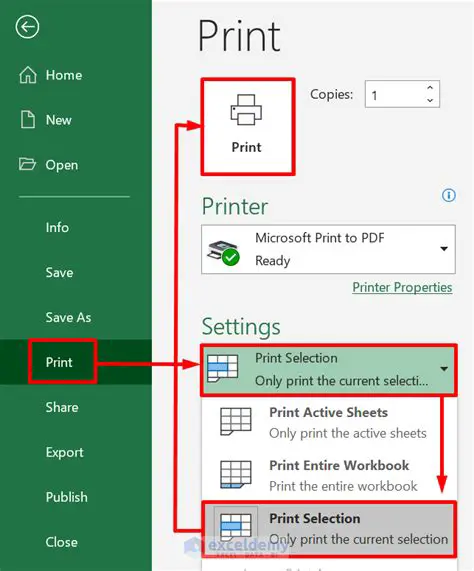 Print only selected sections of code