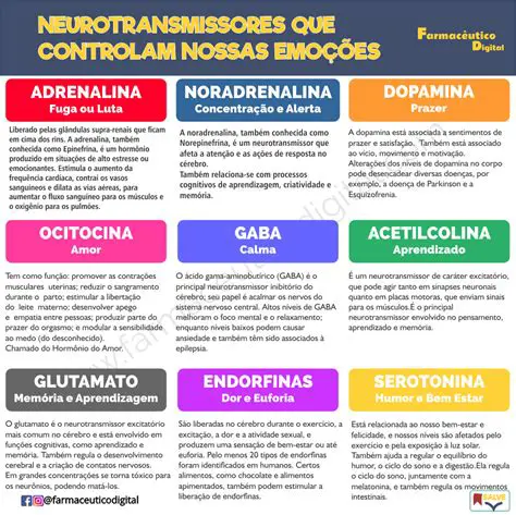 Processamento de Neurotransmissores