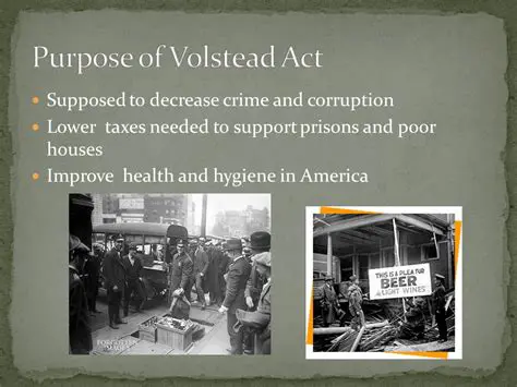 Purpose of the Volstead Act