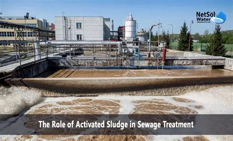 Recommendations for Safe Use of Sewage Sludge