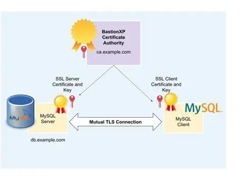 SSL Certificate Configuration