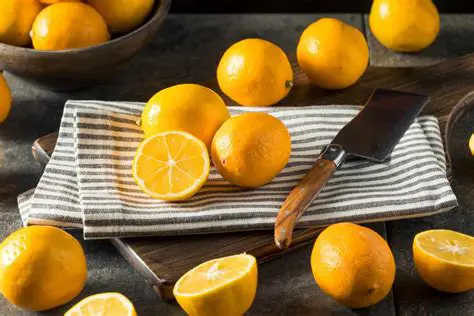 Study of Sugar Levels of Citrus Fruits on the Land Affected by Mount Sinabung Volcanic Ash