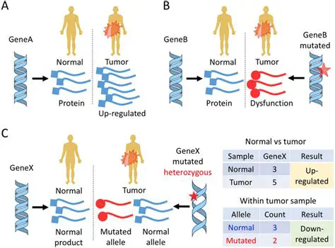 Studying gene mutations and diseases