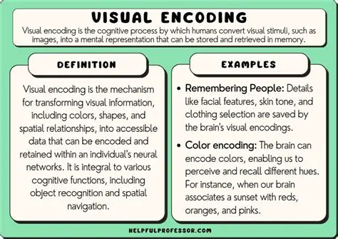 Support for various media encodings