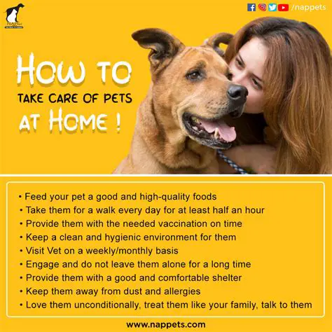 Taking Care of Your Doggie