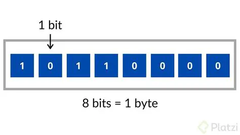 The Allocation of Field Bits