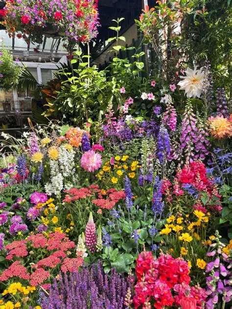 The Benefits of Colorful Flowers