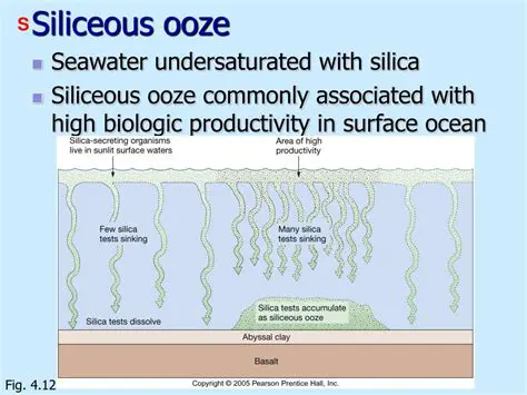 The Composition of Siliceous Ooze