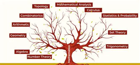 The Connection to Mathematics