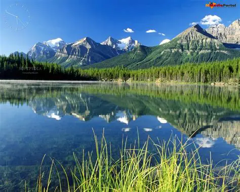 The Cool Nature Screensaver