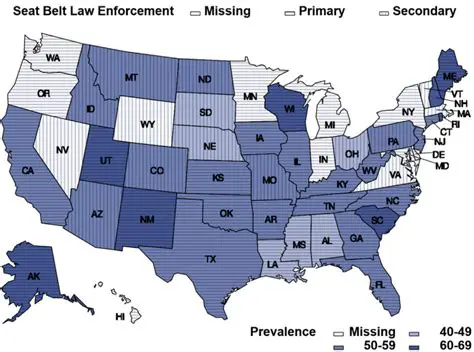 The Cost of Enacting a Mandatory Seat Belt Law
