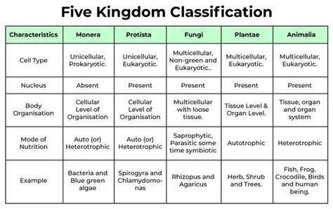 The Difference Between Five Categories and Three Categories