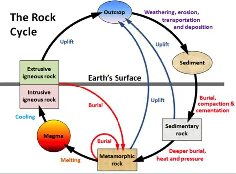The Effects of Heat on Sedimentary Rock