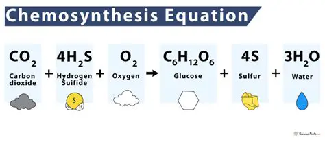 The Equation for Rochester