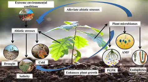 The Establishment of Vegetation