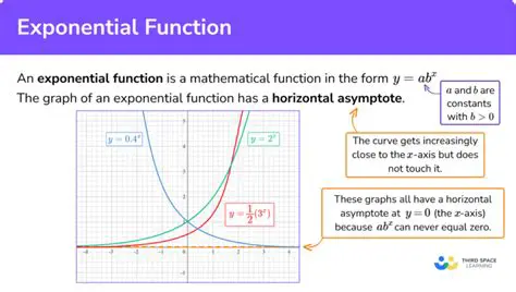 The Function and Its Properties