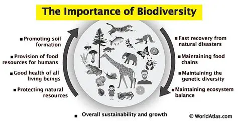 The Importance of Amphibious Diversity
