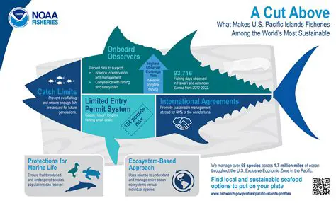 The Importance of Bait in Decanter Operations