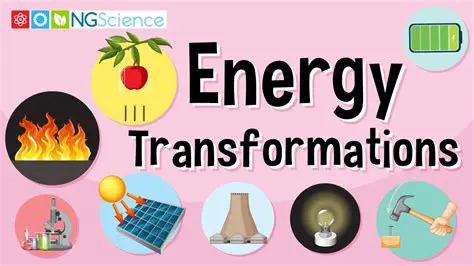 The Importance of Energy Conversion in Cells