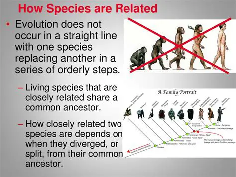 The Importance of Evidence in Evolutionary Biology