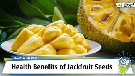 The Importance of Fatty Acids in Jackfruit Seeds