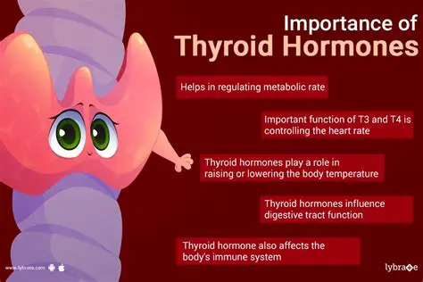 The Importance of Iodide in Thyroid Function