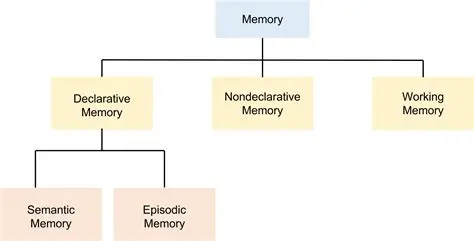 The Importance of Memory for Animated Sequences