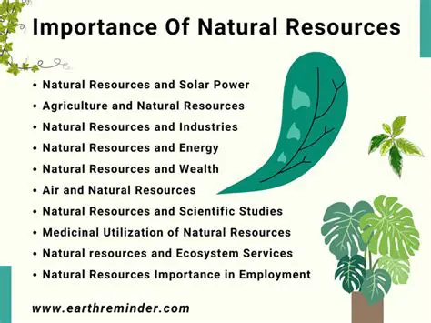 The Importance of Natural Medicine
