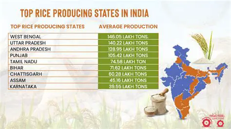 The Importance of Rice Production in North Sumatra