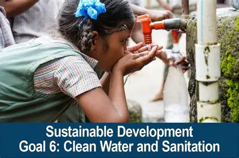 The Importance of Sanitation and Environmental Health