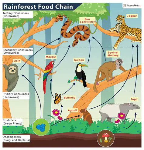 The Importance of Sikkam Tree in the Forest Ecosystem