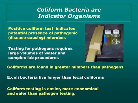The Importance of Testing Coliform Bacteria