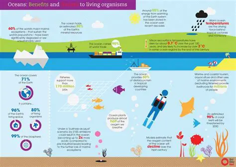 The Importance of the Oceans